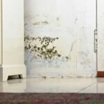Various-Problems-Wall-House
