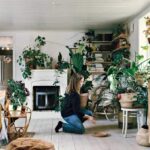Decorate Your House In An Ecological Way