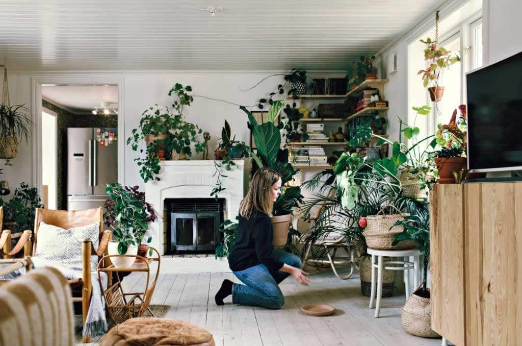 Decorate Your House In An Ecological Way
